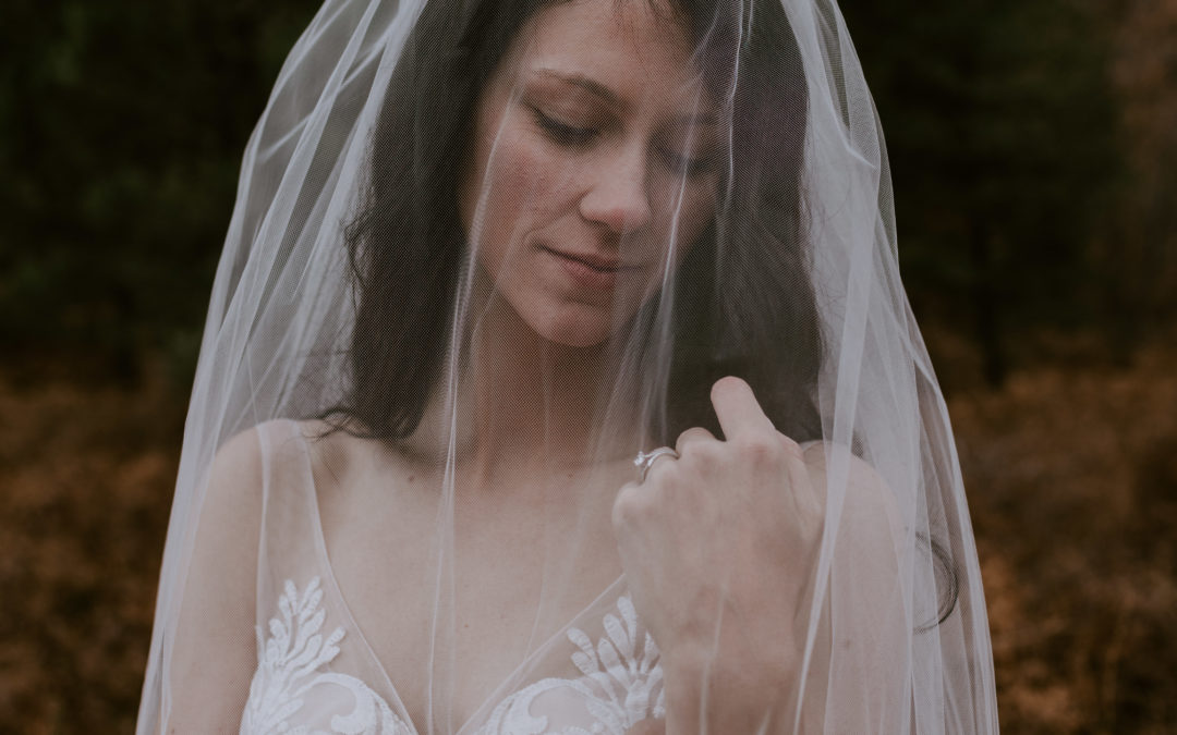 Why You Should Have A Bridal Session